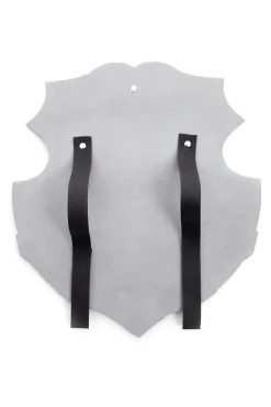 Accessories>Little Adventures Princess Shield